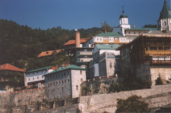 8425.jpg