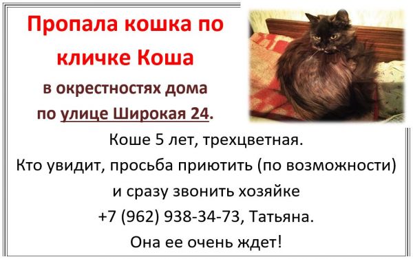 b_600__16777215_00_images_0_KOSHKA.JPG