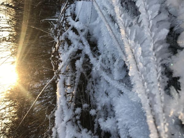 b_600__16777215_00_images_0konkurs_2020_12_11_14_53_IMG_6539.jpg
