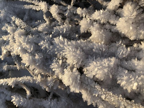b_600__16777215_00_images_0konkurs_2020_12_12_14_16_IMG_6604.jpg
