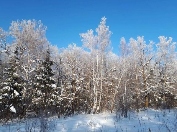 b_600__16777215_00_images_0konkurs_PHOTO-2022-02-18-14-28-51_1.jpg