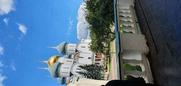 b_600__16777215_00_images_Shamruk_1_1.jpg