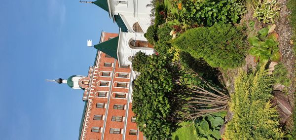 b_600__16777215_00_images_Shamruk_2_1.jpg