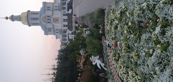 b_600__16777215_00_images_Shamruk_3_1.jpg
