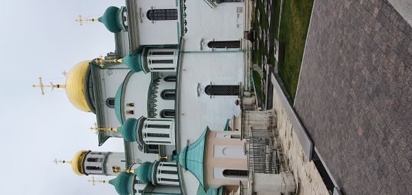 b_600__16777215_00_images_Shamruk_D_5.jpg